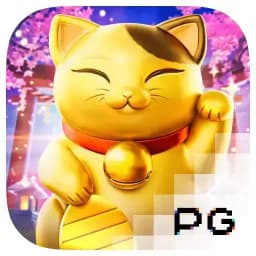 tichaa: Lucky Neko